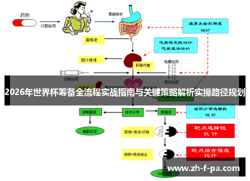 2026年世界杯筹备全流程实战指南与关键策略解析实操路径规划